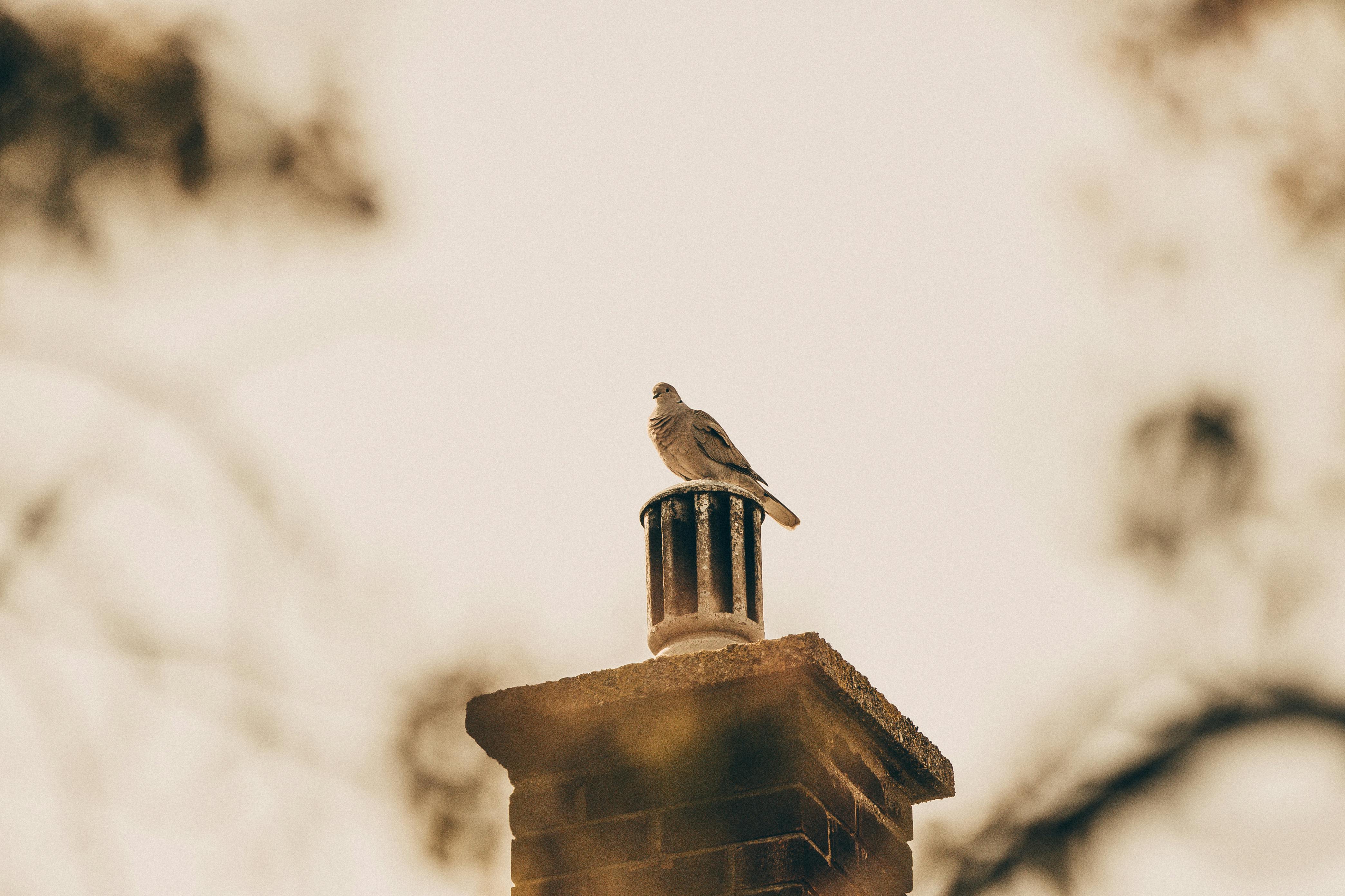 Expert Chimney Cap Installation in Oakbrook, Illinois